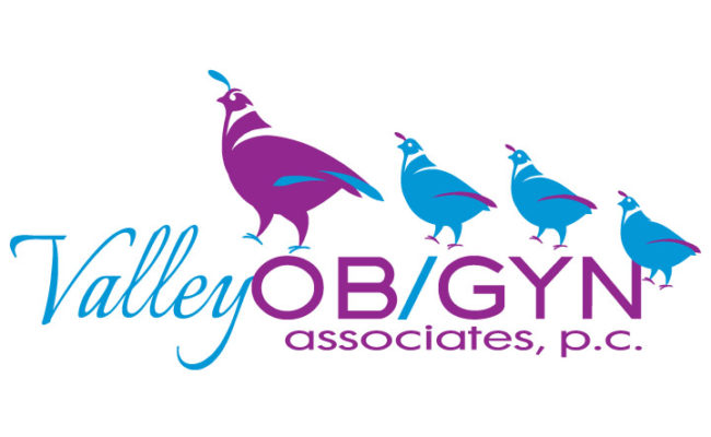 Valley-OBGYN-Logo